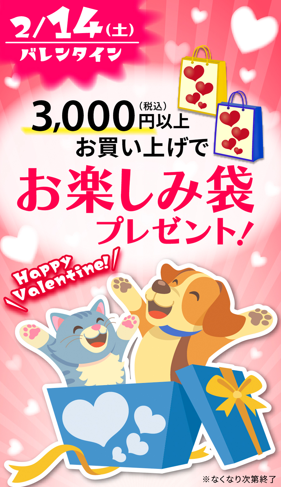 お楽しみ袋プレゼント！