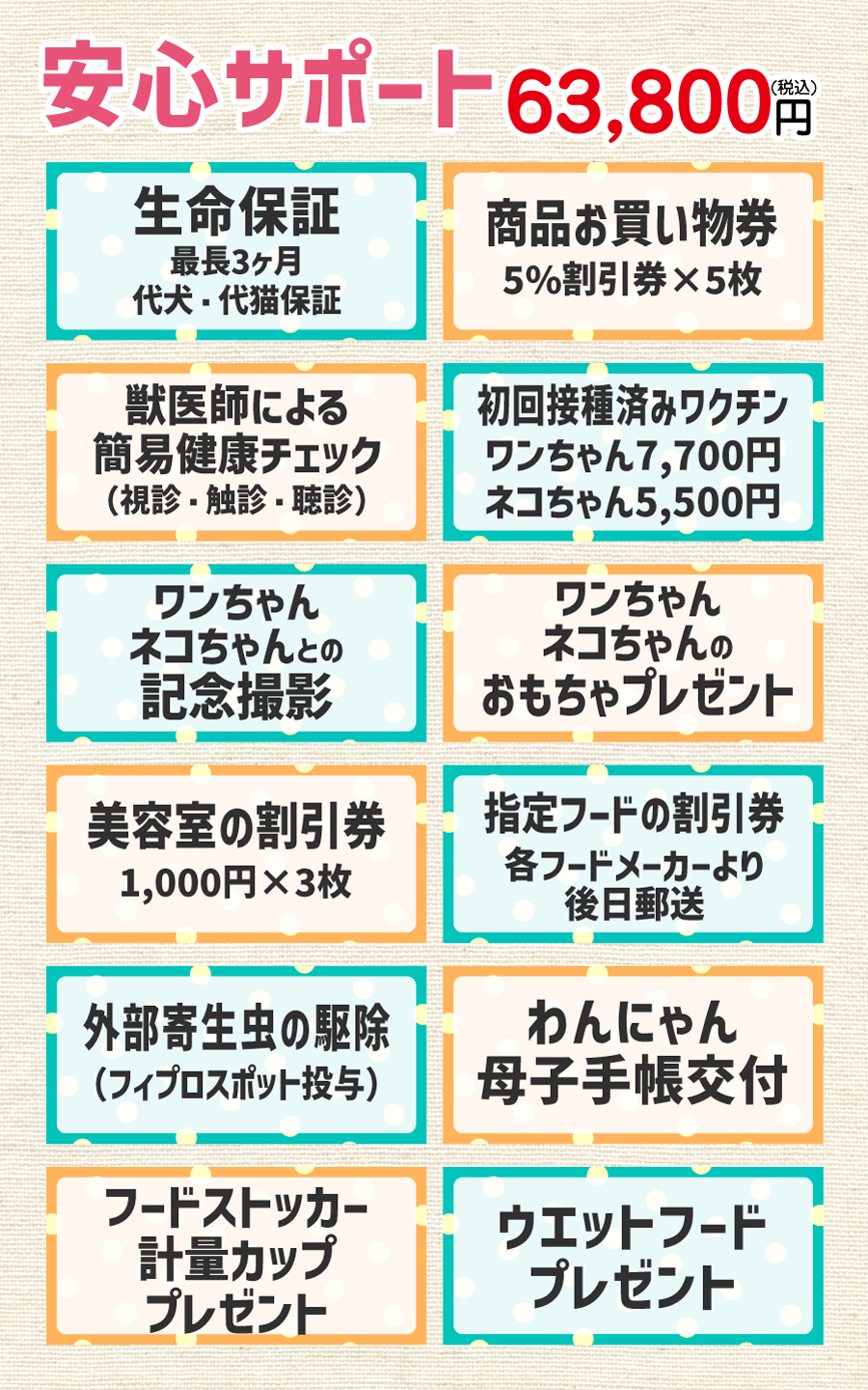 安心サポート63,800円（税込）